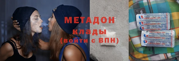 прущие грибы Белокуриха