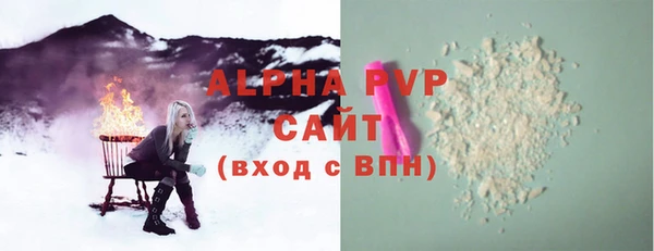 прущие грибы Белокуриха