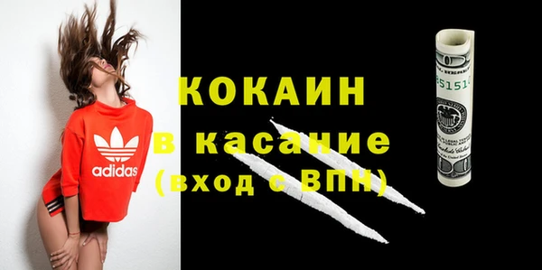 прущие грибы Белокуриха