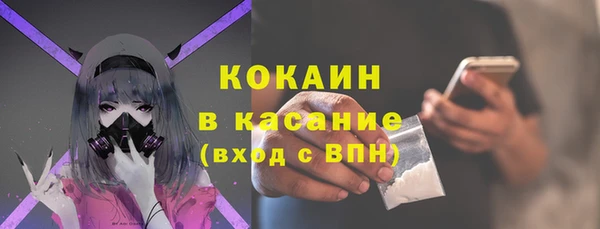 прущие грибы Белокуриха