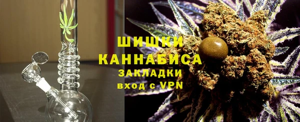 прущие грибы Белокуриха