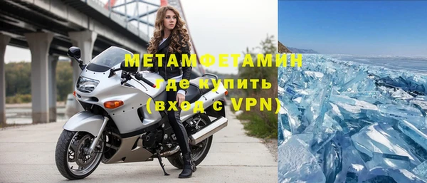 прущие грибы Белокуриха