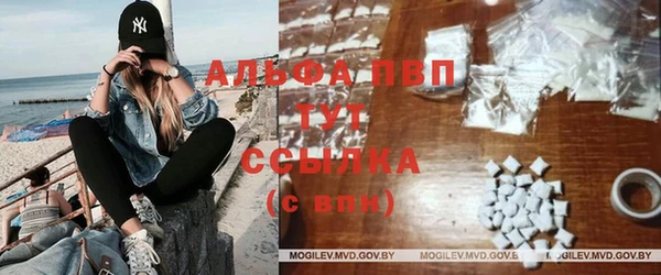 амф Беломорск