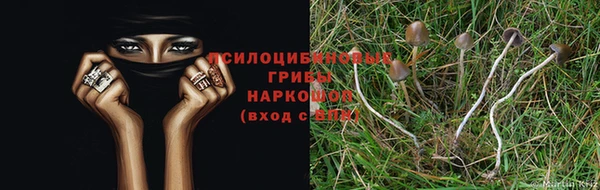 амф Беломорск