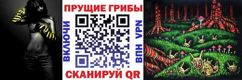 Псилоцибиновые грибы мицелий  что такое наркотик  Первомайск 